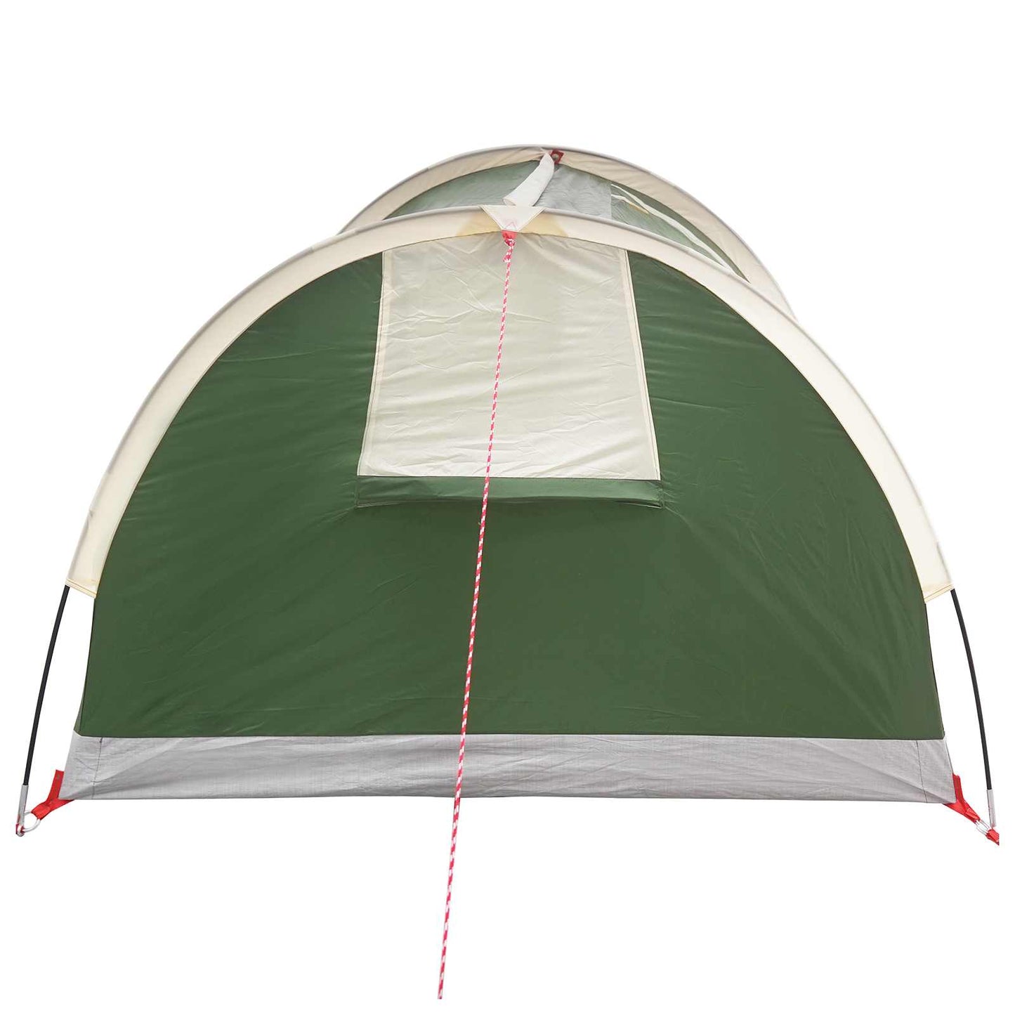 vidaXL Hiking Tent Water-Resistant 2-Person Green