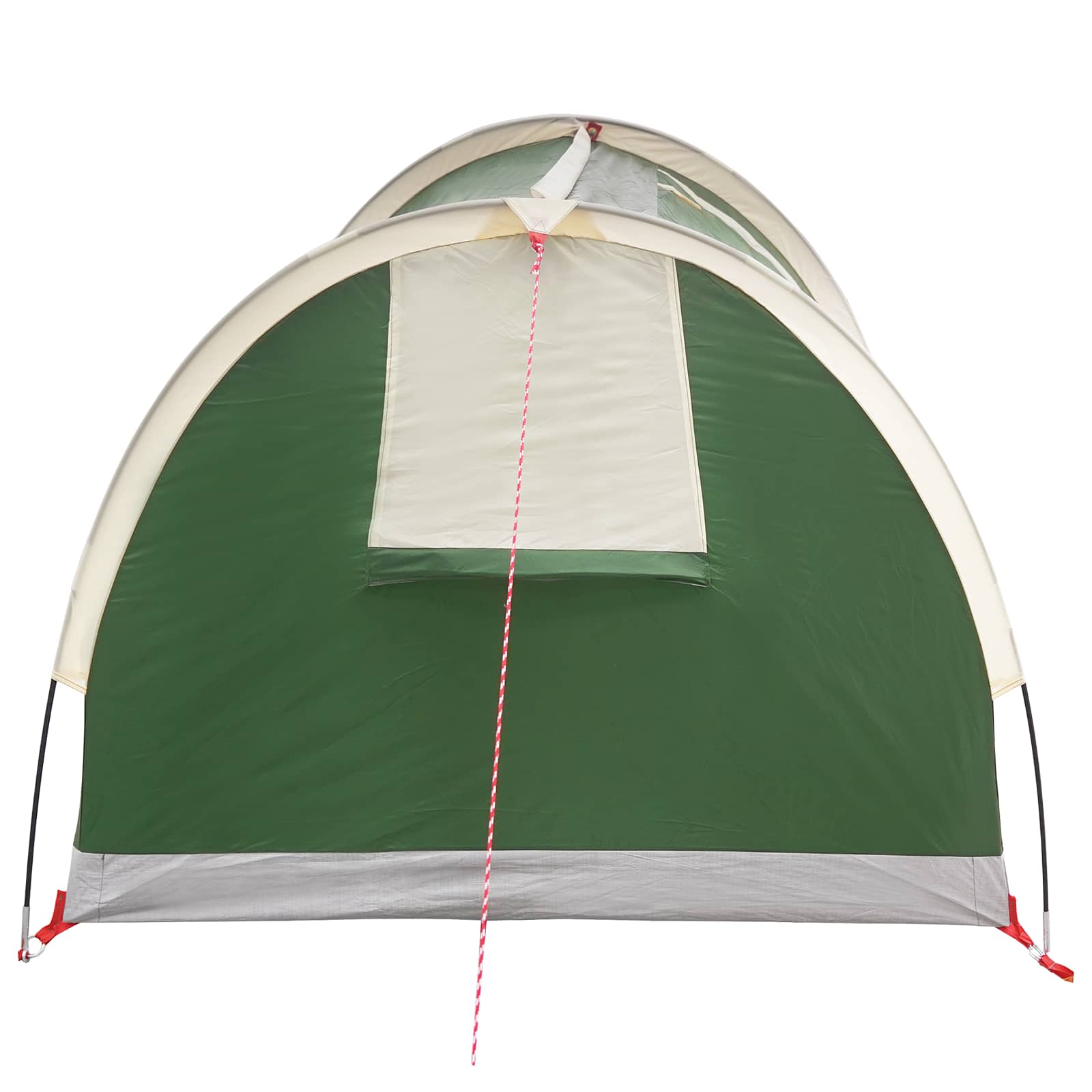 vidaXL Hiking Tent Water-Resistant 1-Person 1-Person Green