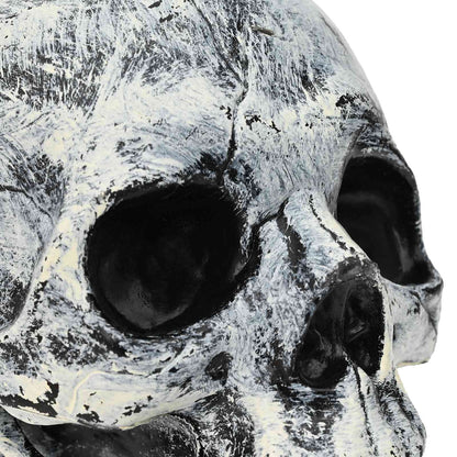 vidaXL Halloween Skull SPOOKA 2 pcs White 12 x 15 x 17.5 cm Plastic