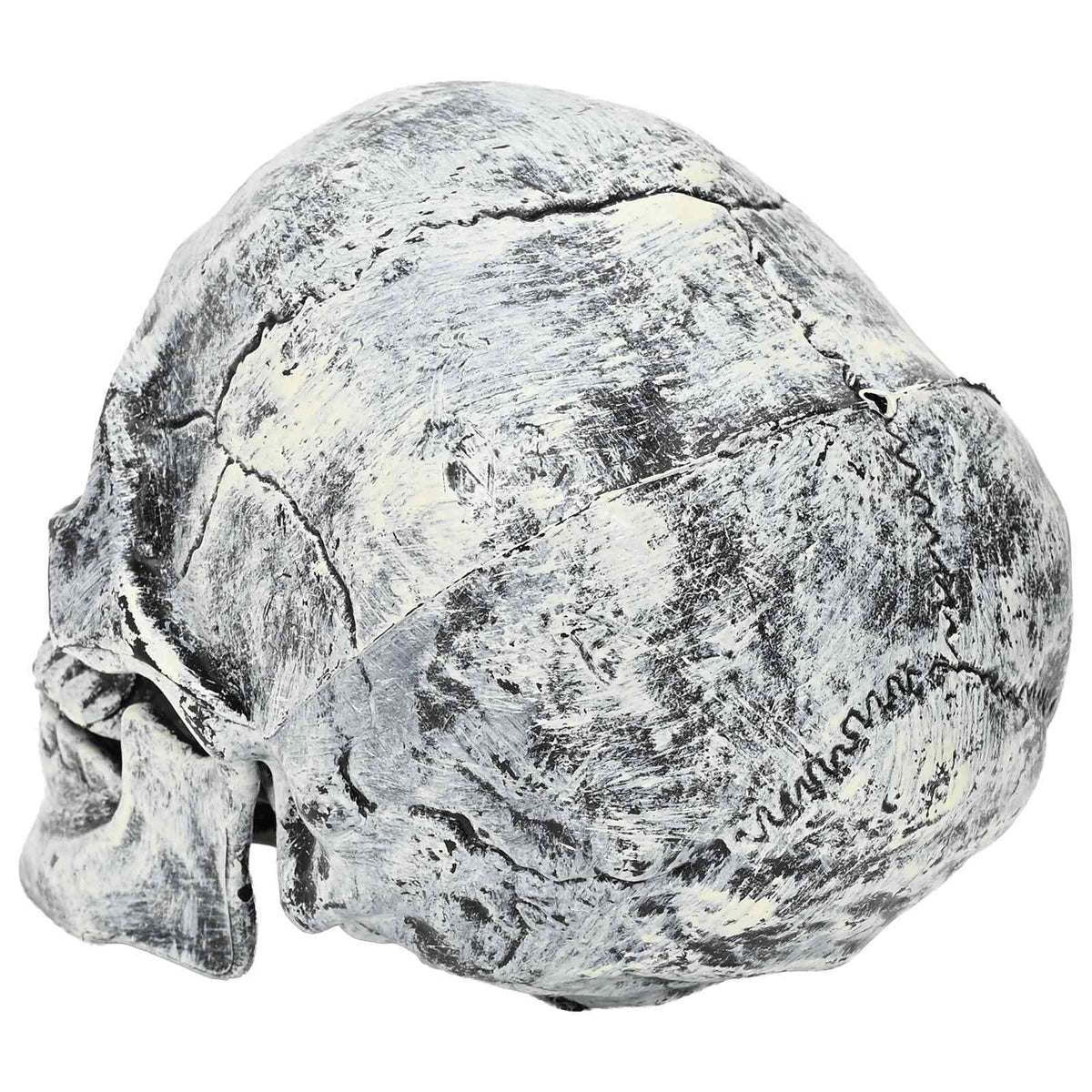 vidaXL Halloween Skull SPOOKA 2 pcs White 12 x 15 x 17.5 cm Plastic