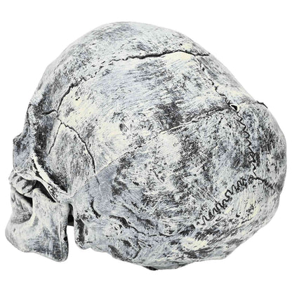vidaXL Halloween Skull SPOOKA 2 pcs White 12 x 15 x 17.5 cm Plastic