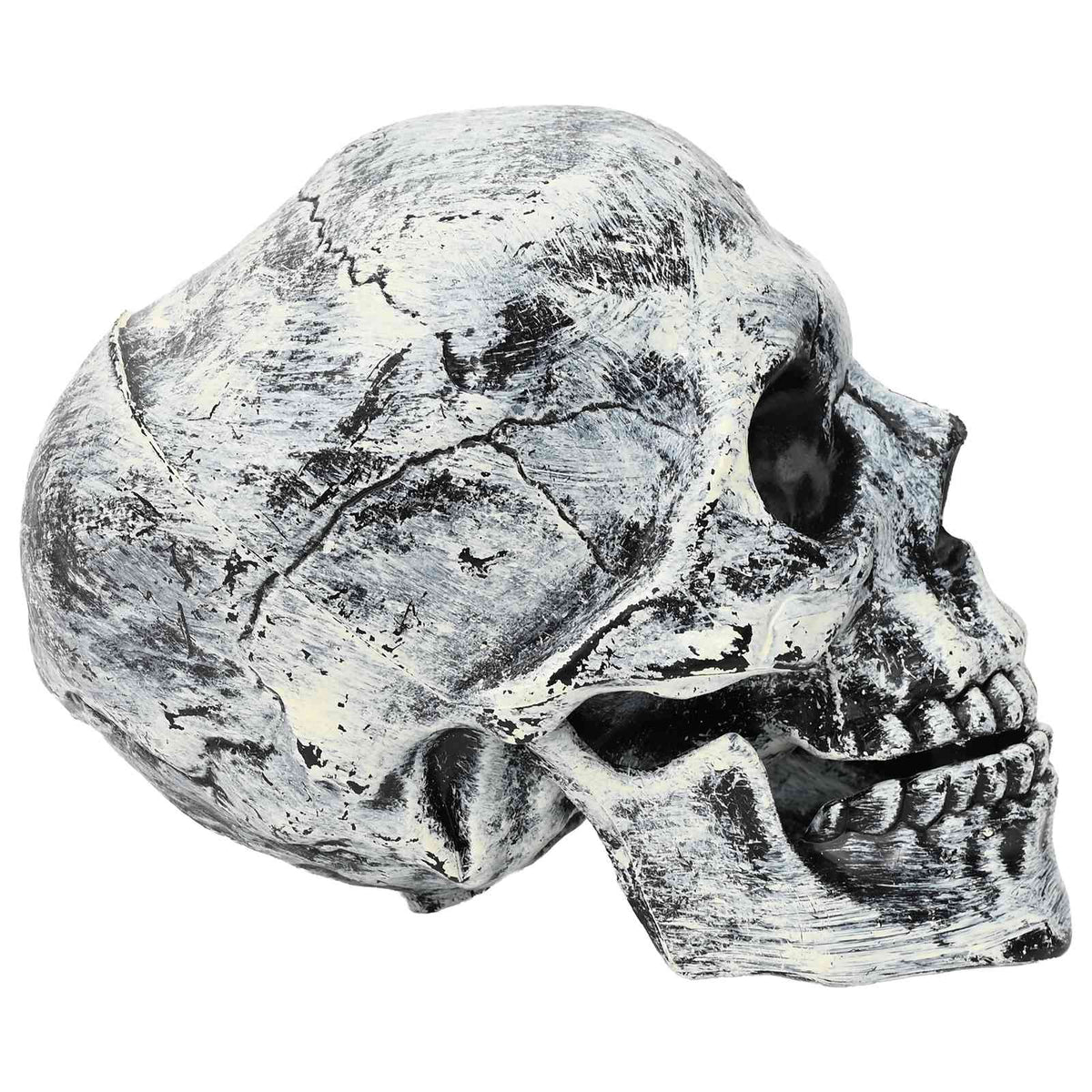 vidaXL Halloween Skull SPOOKA 2 pcs White 12 x 15 x 17.5 cm Plastic