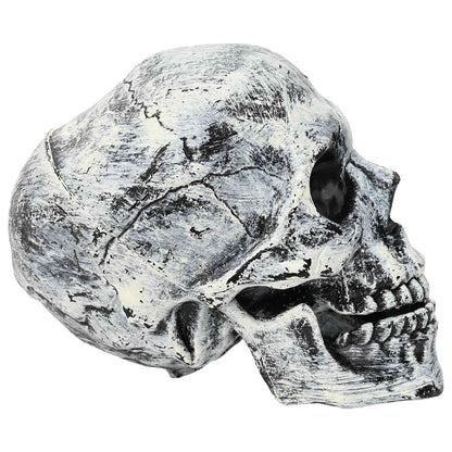 vidaXL Halloween Skull SPOOKA 2 pcs White 12 x 15 x 17.5 cm Plastic