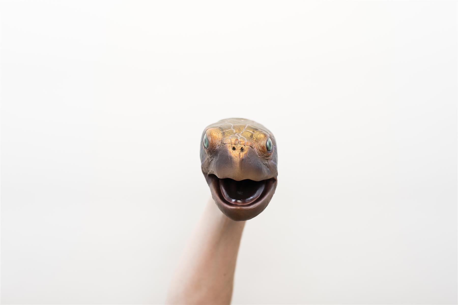 Wild Thingz Hand Puppet - Sea Turtle