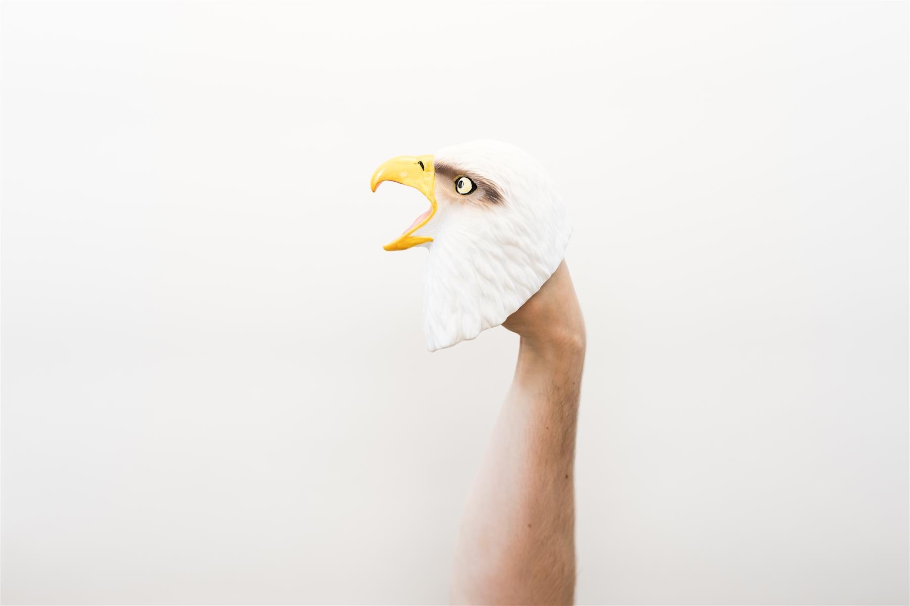 Wild Thingz Hand Puppet - White Eagle