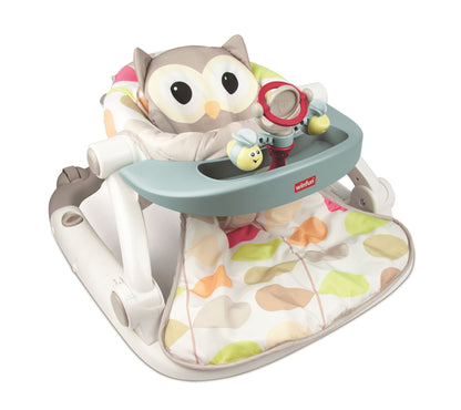 Sit to Walk Activity Centre Owl - In Mailer Box
