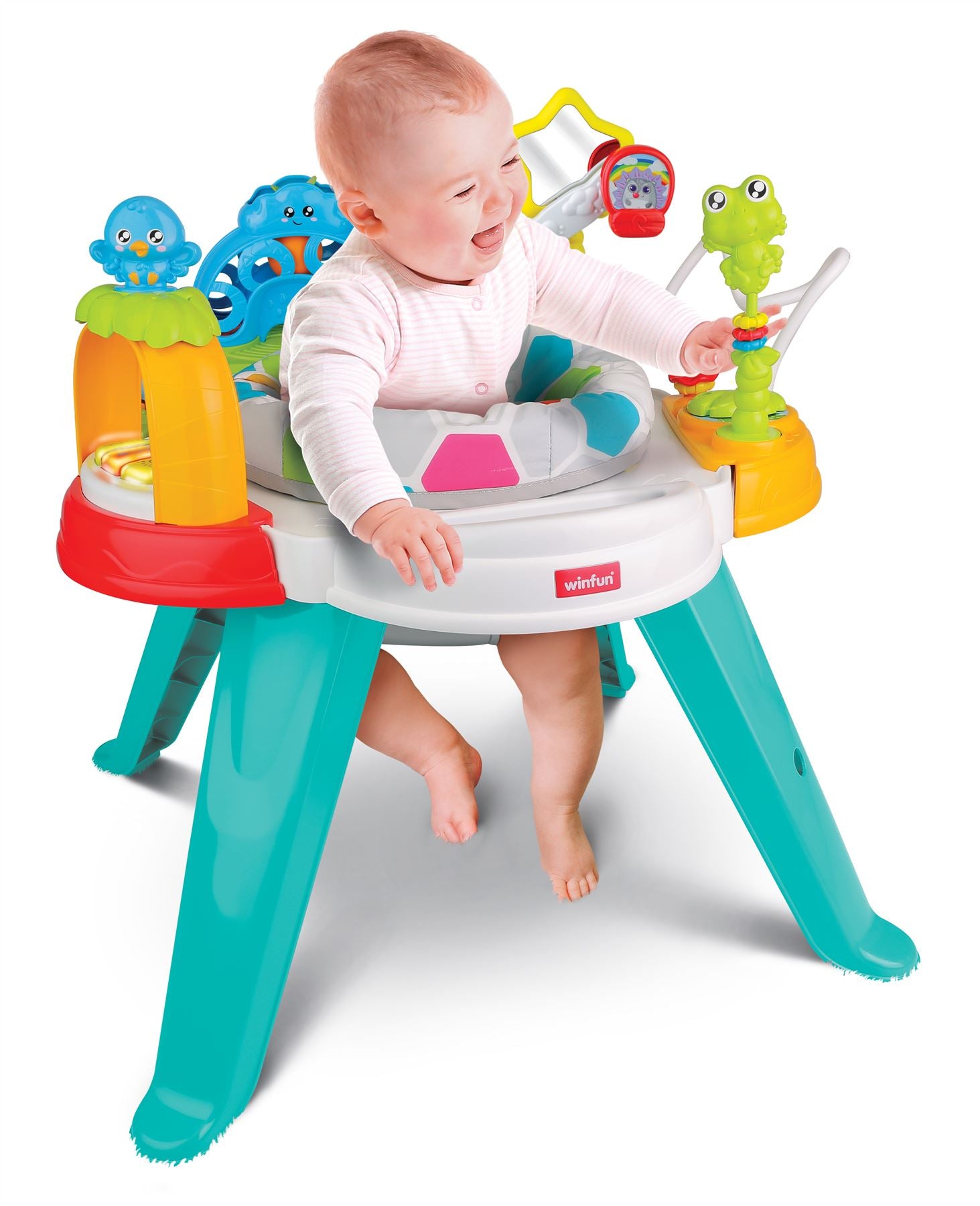 Baby Move Activity Center