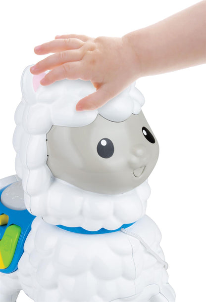 Push Along Little Alpaca