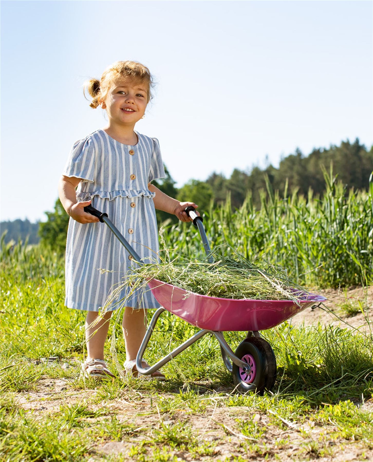 Pink Metal Wheelbarrow