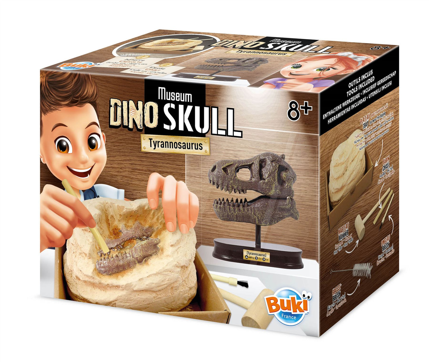 Dinosaur Skull - Tyrannosaurus