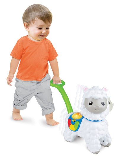 Push Along Little Alpaca