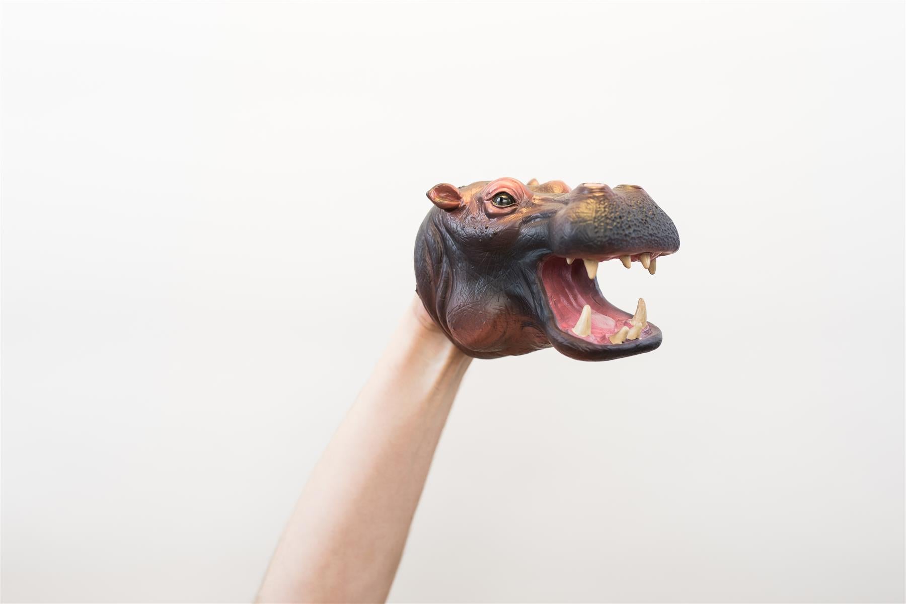 Wild Thingz Hand Puppet - Hippo