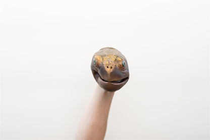 Wild Thingz Hand Puppet - Sea Turtle