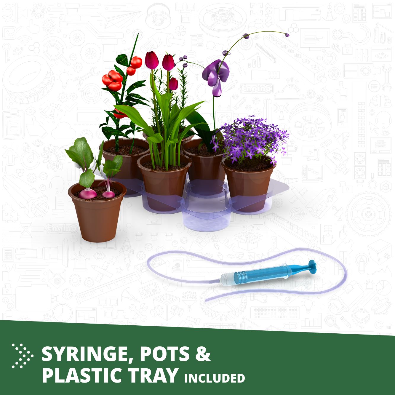 Discovering STEM Botanic Laboratory