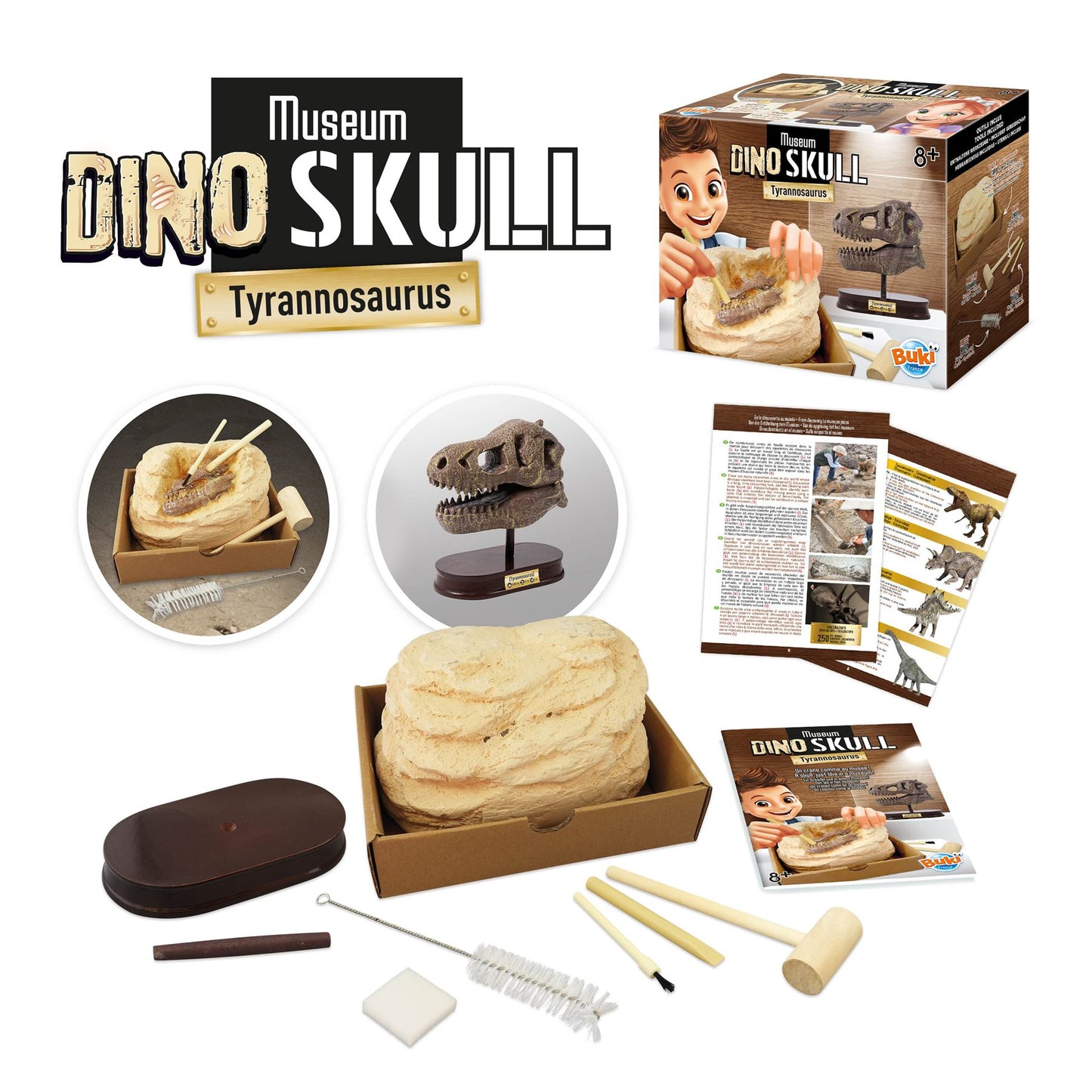 Dinosaur Skull - Tyrannosaurus