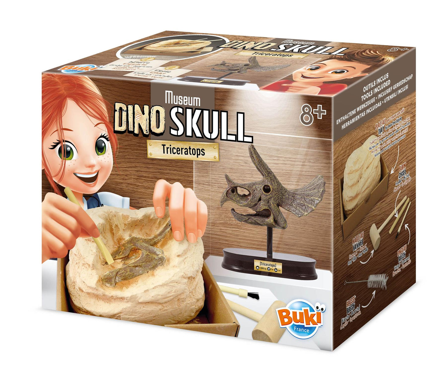 Dinosaur Skull - Triceratops