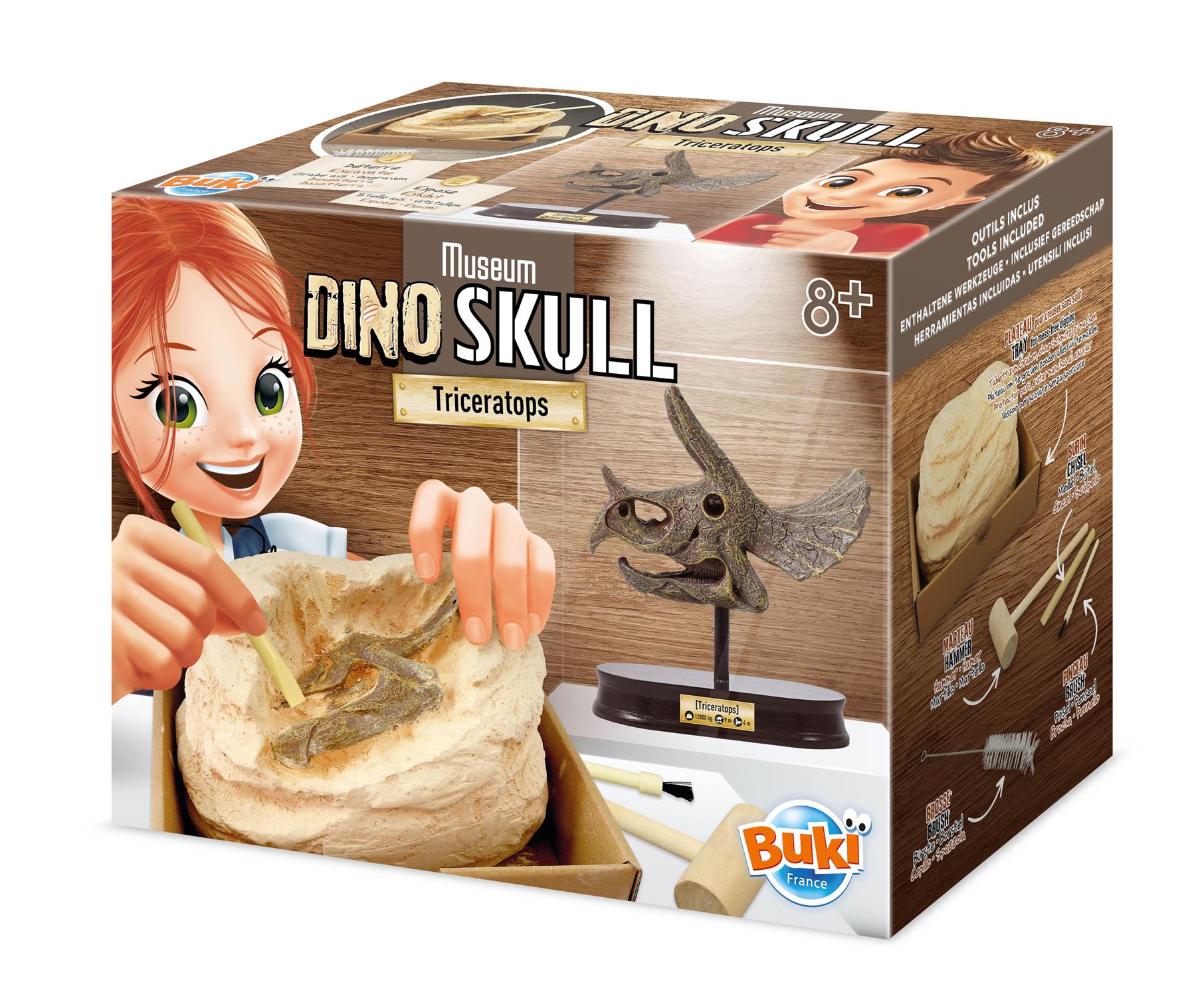Dinosaur Skull - Triceratops