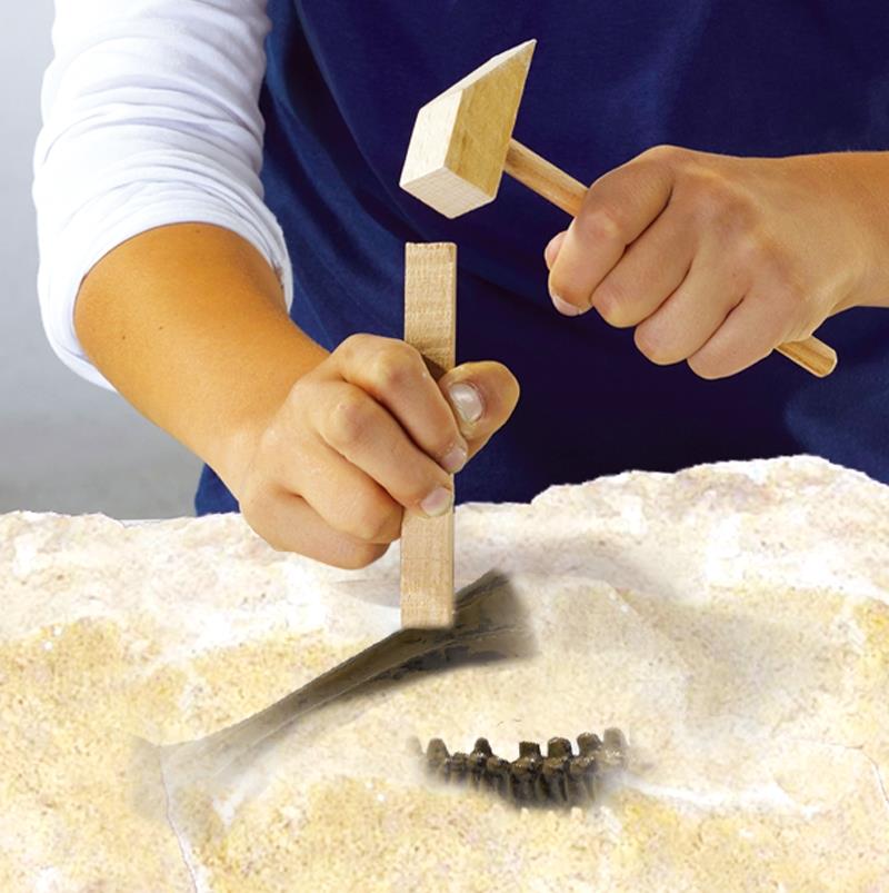 Excavate a T-rex skeleton
