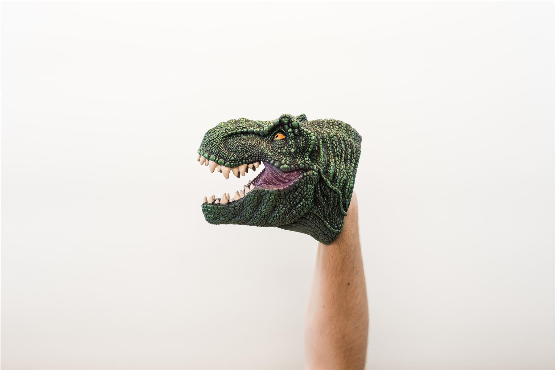 Wild Thingz Hand Puppet - Trex - Green