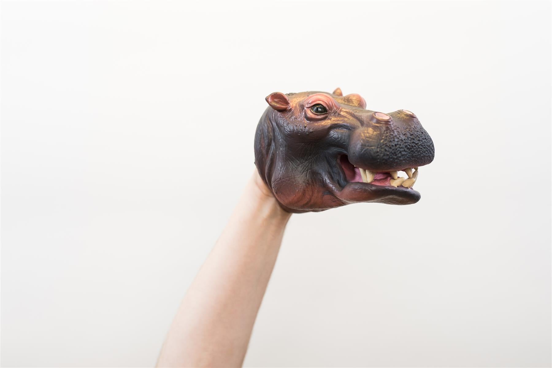 Wild Thingz Hand Puppet - Hippo