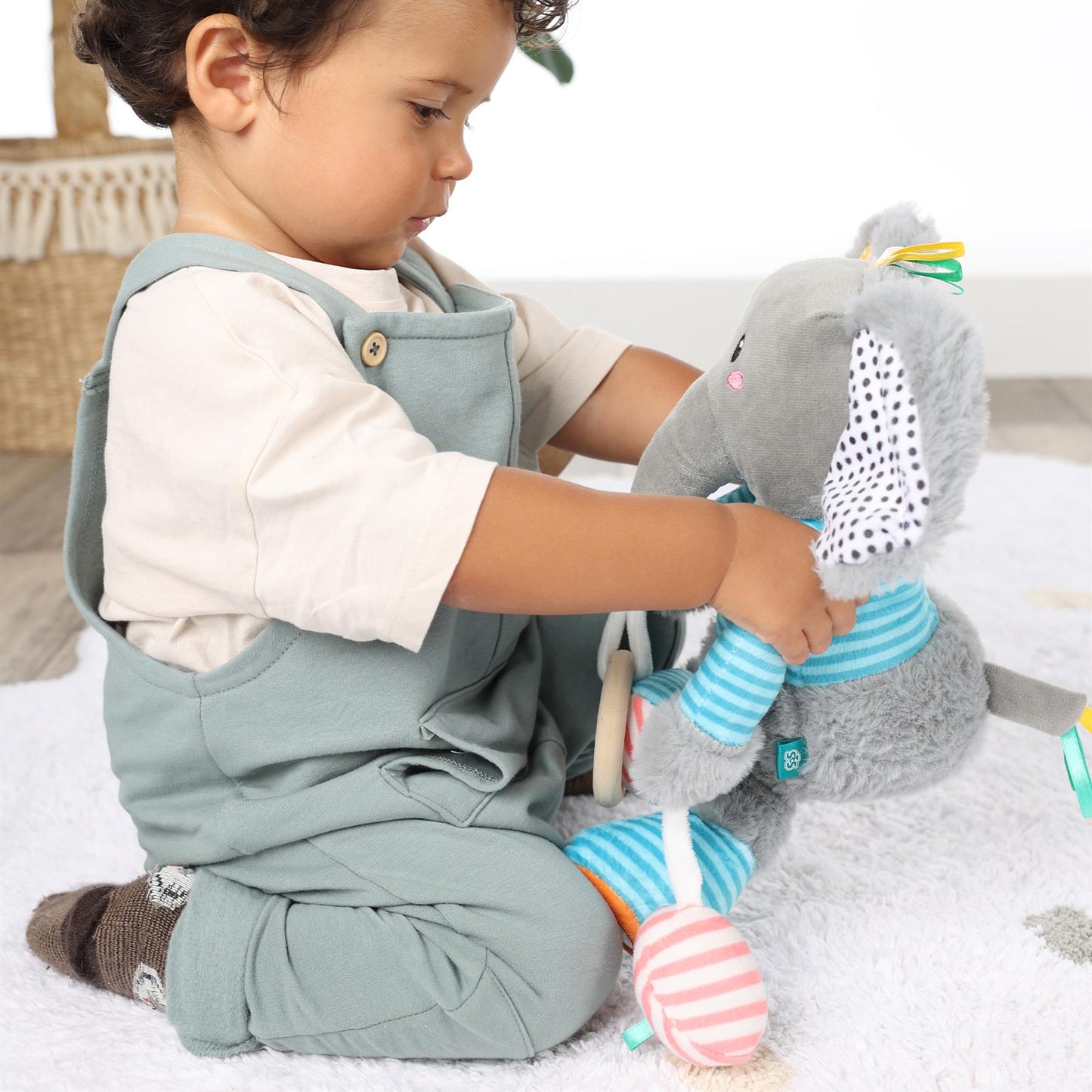 Olfi sensory elephant