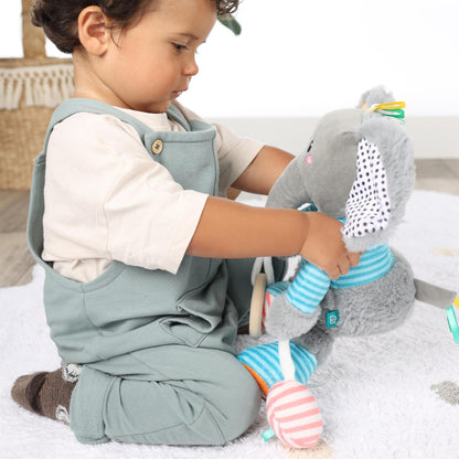 Olfi sensory elephant