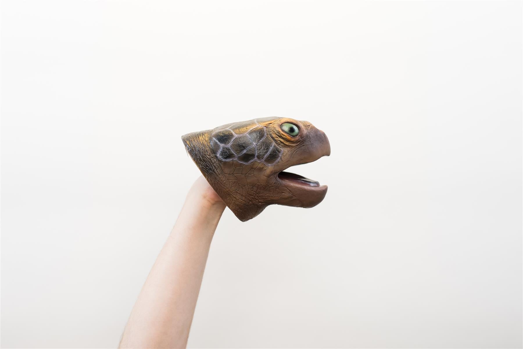Wild Thingz Hand Puppet - Sea Turtle
